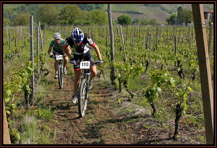 09/05/2010 Mango (CN). 15° giro delle colline del moscato. 3° prova Campionato provinciale Cuneo mtb 2010, UDACE